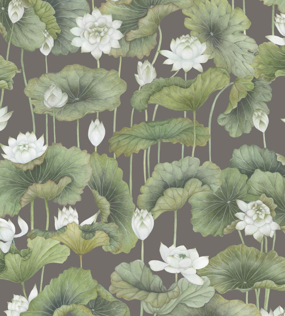 Lily Lotus Wallpaper by Cole & Son White on Charcoal