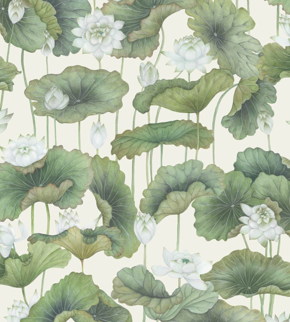 Lily Lotus Wallpaper by Cole & Son White on Cream
