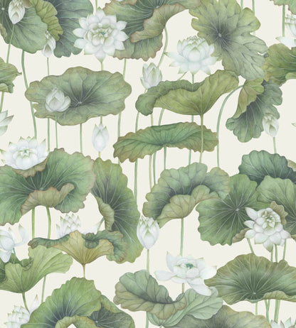 Lily Lotus Wallpaper by Cole & Son White on Cream