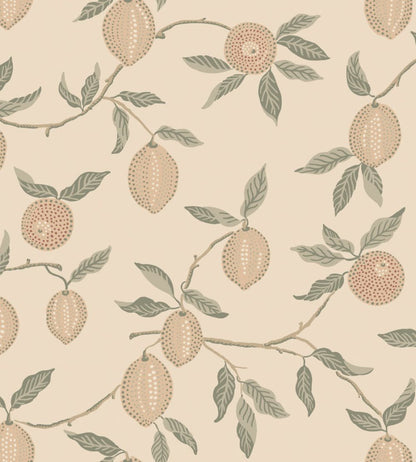 Limone Wallpaper by Sandberg Blush