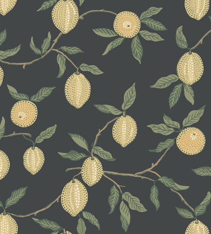 Limone Wallpaper by Sandberg Charcoal
