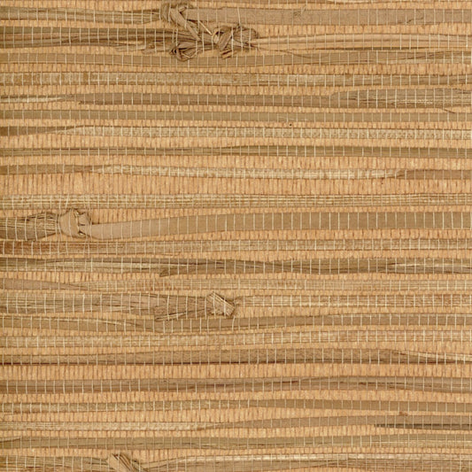 TRH51001 Wallpaper
