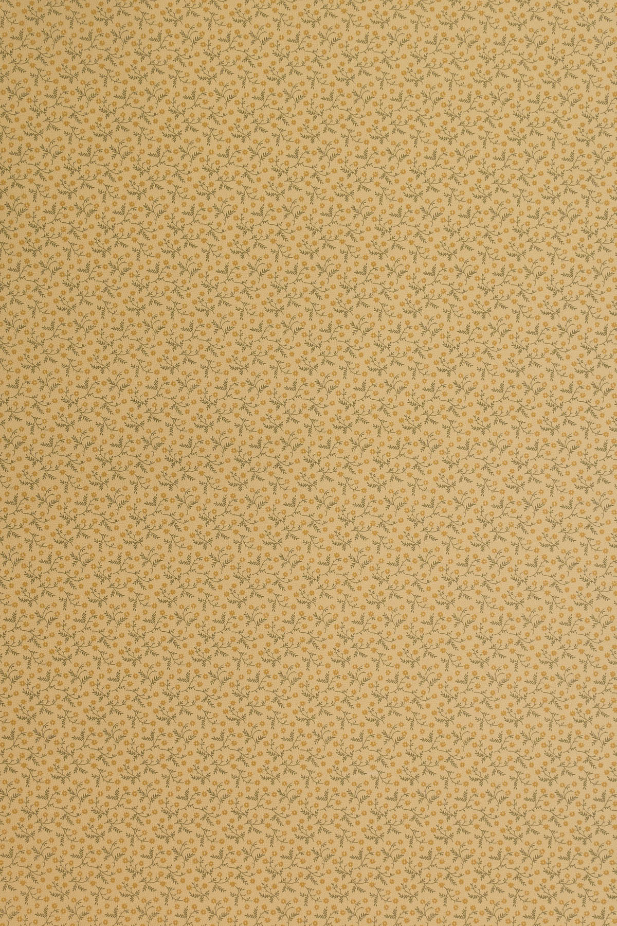 Lizzie Wallpaper by Jean Monro in Chartreuse/Lilac