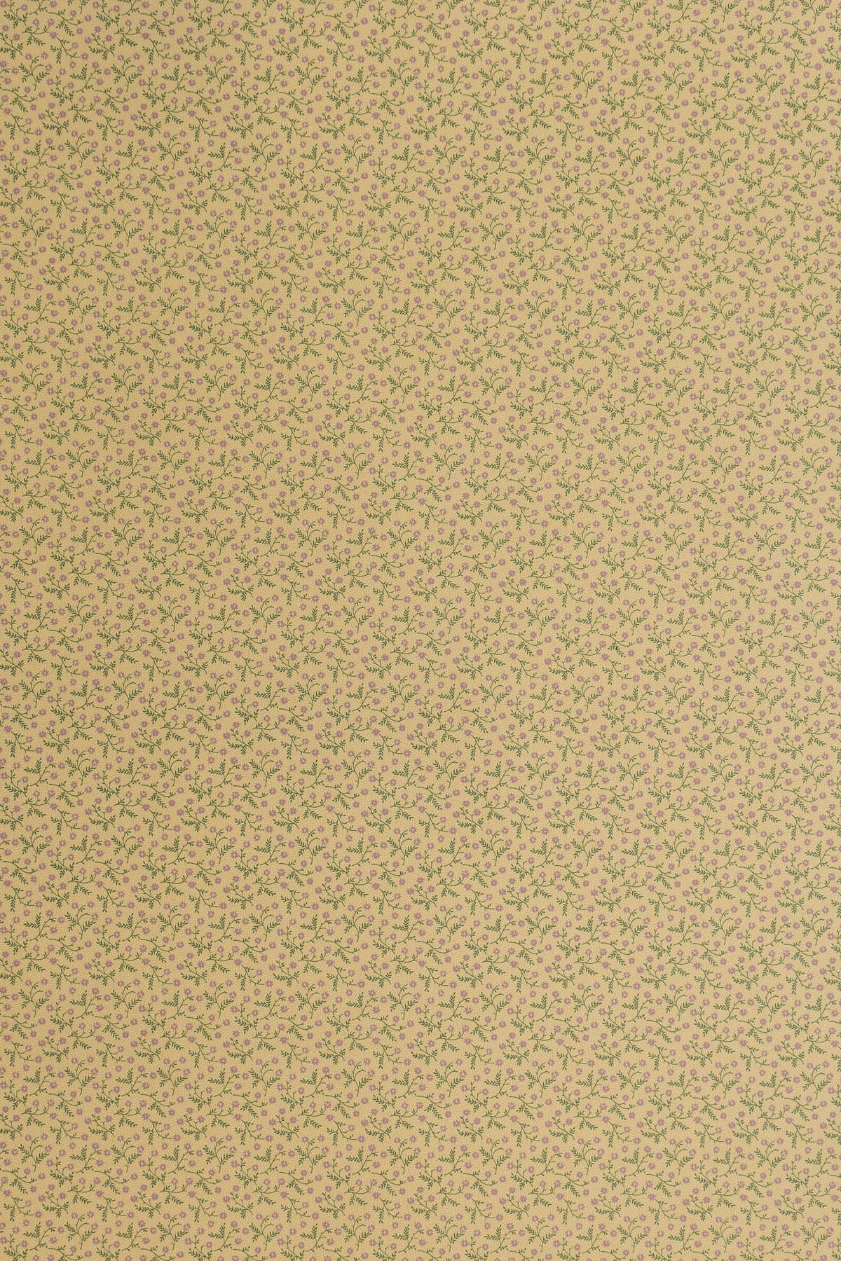 Lizzie Wallpaper by Jean Monro in Rose/Stone