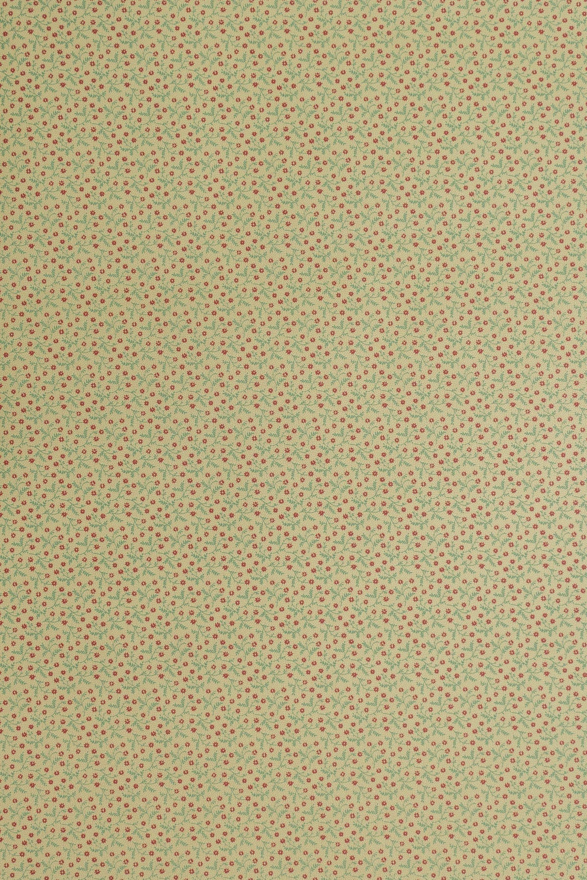 Lizzie Wallpaper by Jean Monro in Teal/Port