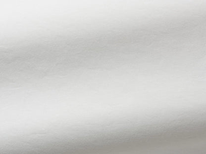 Loft Fabric by Pierre Frey in Chantilly (F3168001)