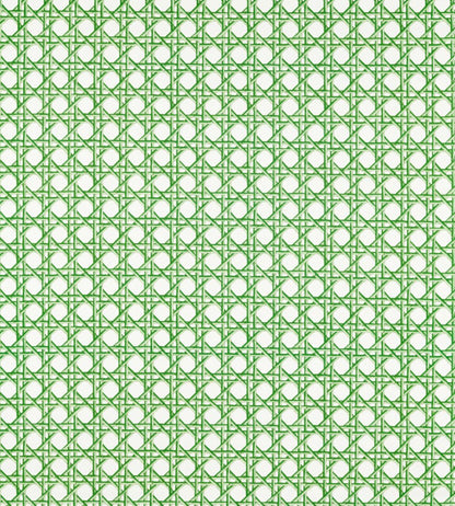 Lovelace Fabric by Harlequin Apple / Paper Lantern