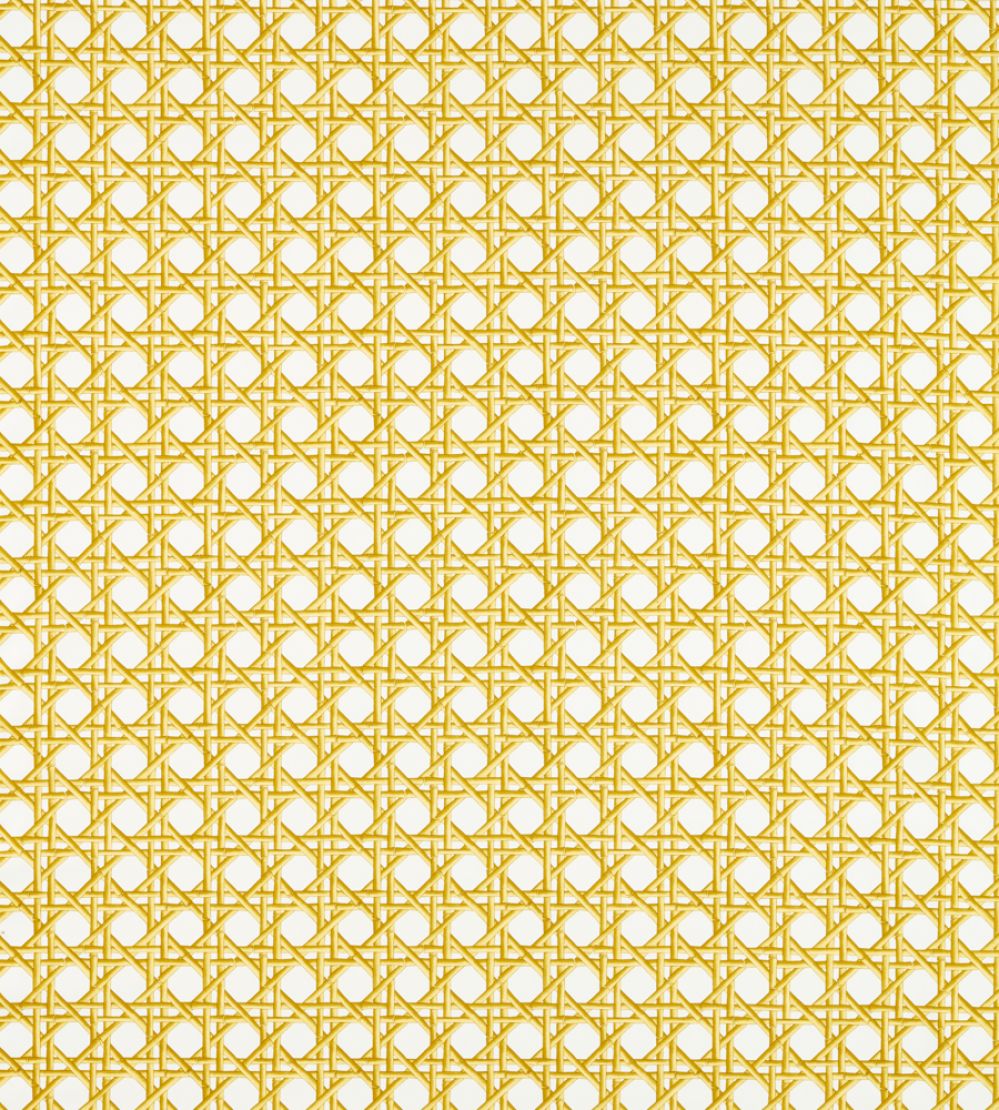 Lovelace Fabric by Harlequin Honey / Paper Lantern