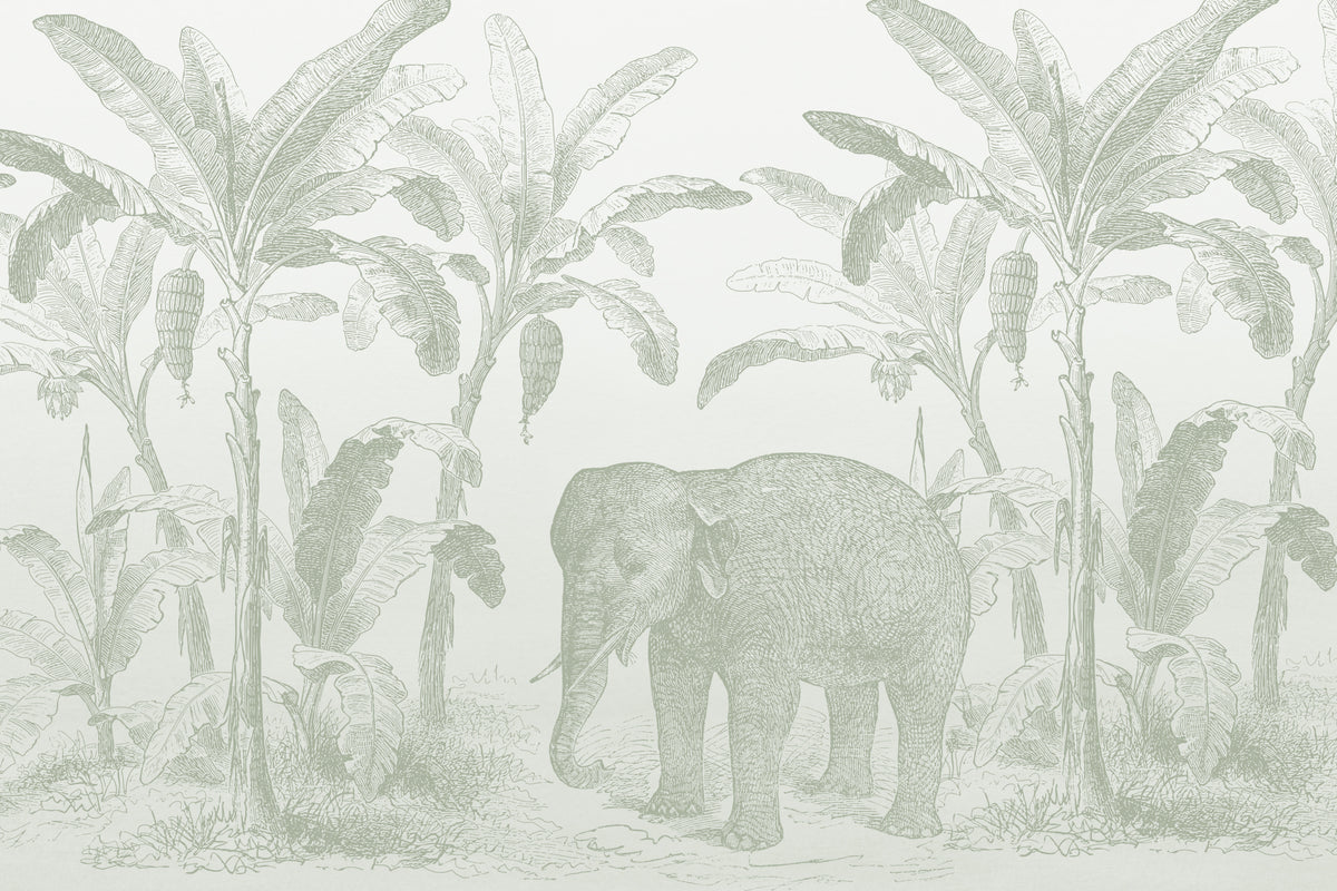 Loxodonta Sage Green mural by Hovia