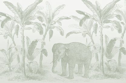 Loxodonta Sage Green mural by Hovia
