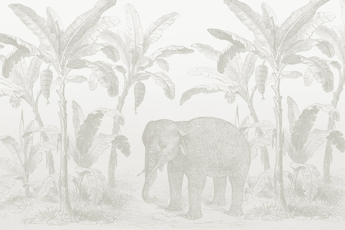 Loxodonta Neutral mural by Hovia