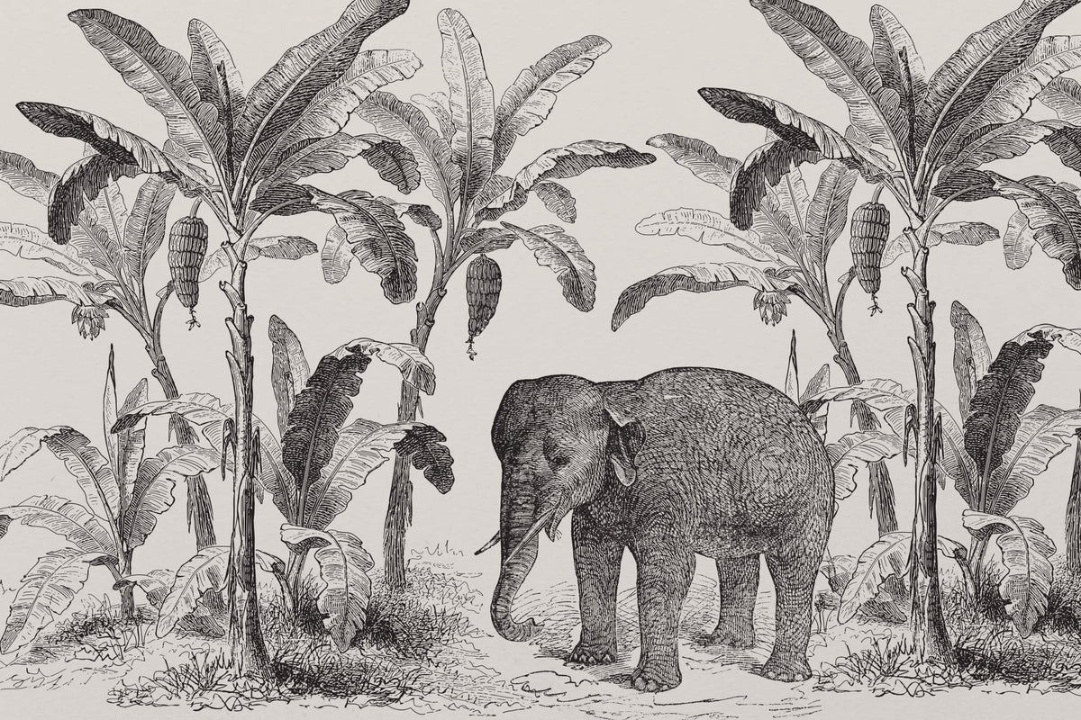 Loxodonta Original mural by Hovia