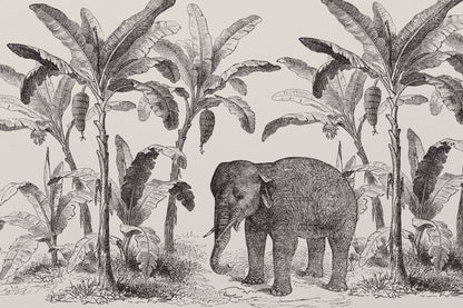 Loxodonta Original mural by Hovia