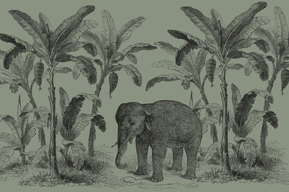 Loxodonta Green mural by Hovia