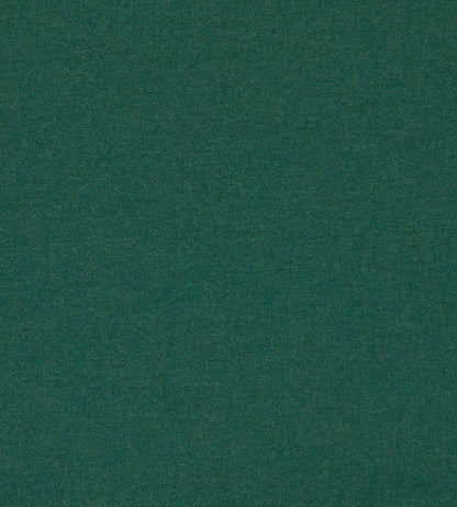 Lugo Outdoor Fabric by Clarke & Clarke Forest