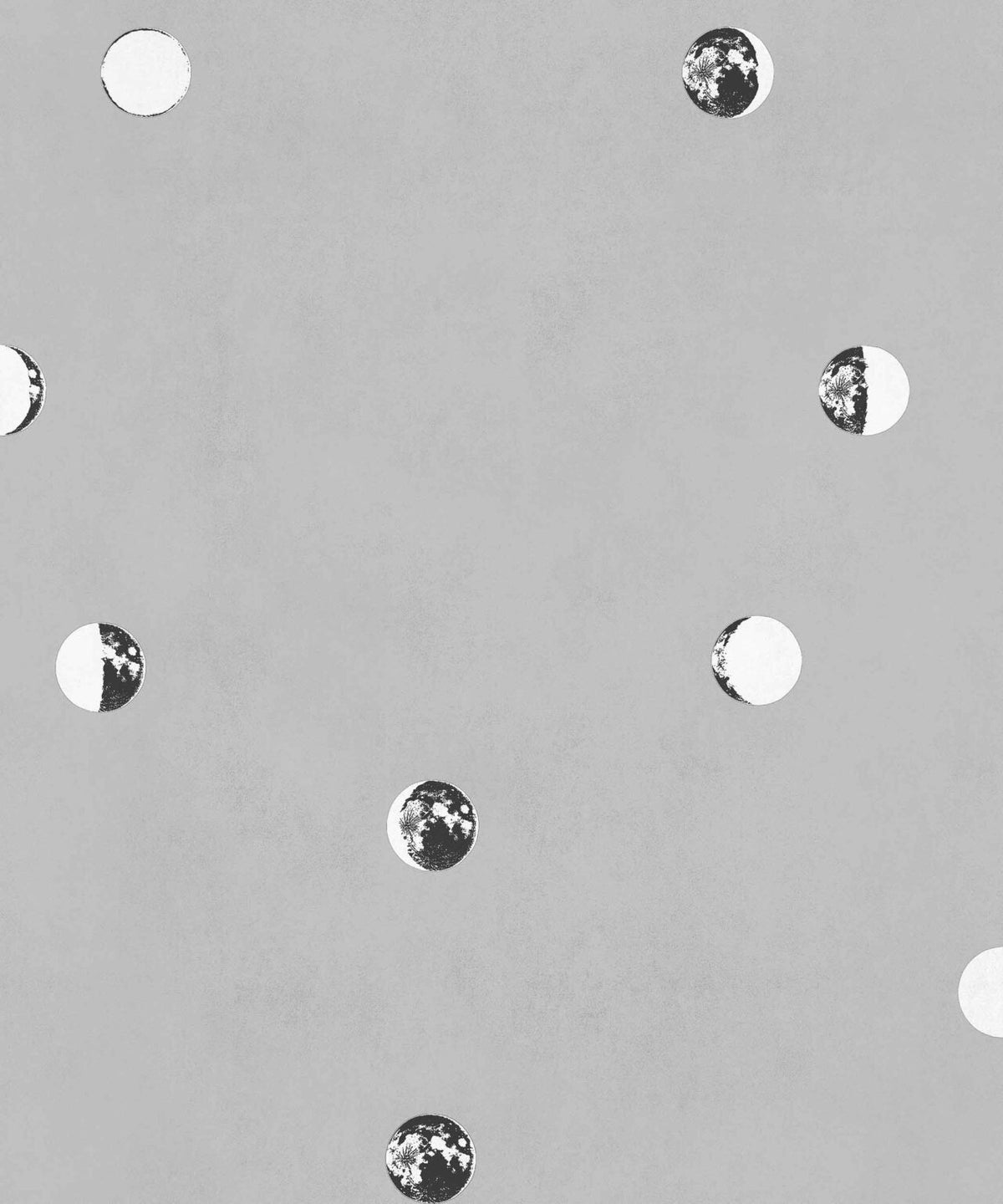 Lunatic wallpaper by Coordonné in Full Grey, flat pattern view