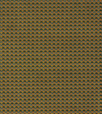 Lyra Fabric by Clarke & Clarke Spice/Forest