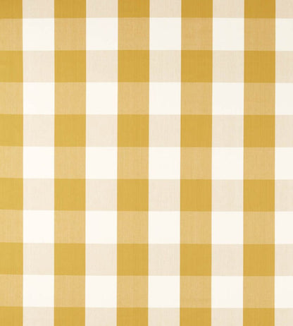 Madras Check Fabric by Sanderson Golden Knot