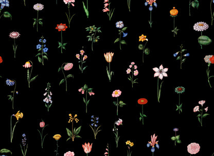 Magdalena Black mural by Bien Fait