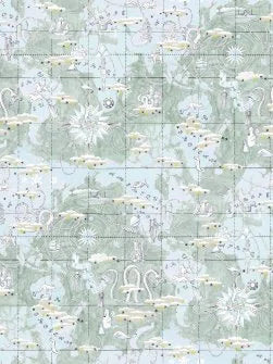 Magellan Wallpaper by Pierre Frey in Celadon (FP481003)