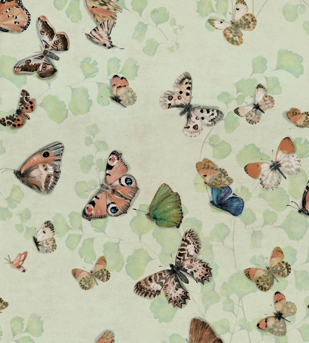 Magic Butterflies Wallpaper by Coordonne Maca