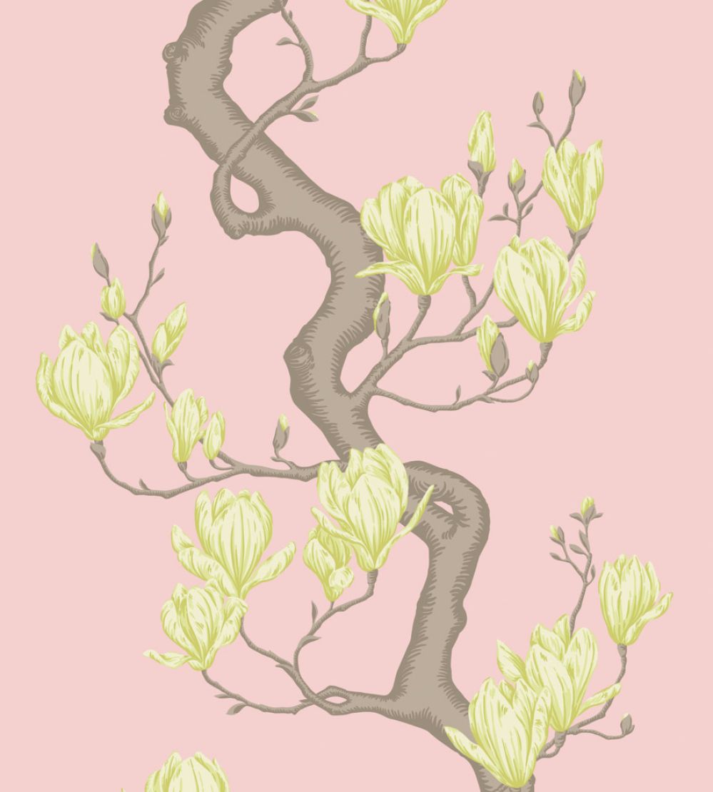 Magnolia Tree Wallpaper by Cole & Son Rose Pink & Soft Lemon