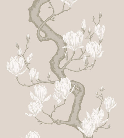 Magnolia Tree Wallpaper by Cole & Son Soft Cream & Powder