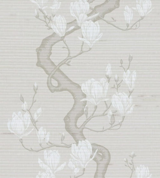 Magnolia Tree - Raw Slub Silk Wallpaper by Cole & Son Soft Cream & Powder