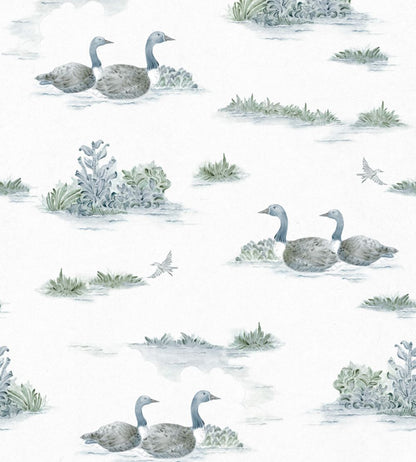 Mallard Duck Wallpaper by Coordonne Aqua