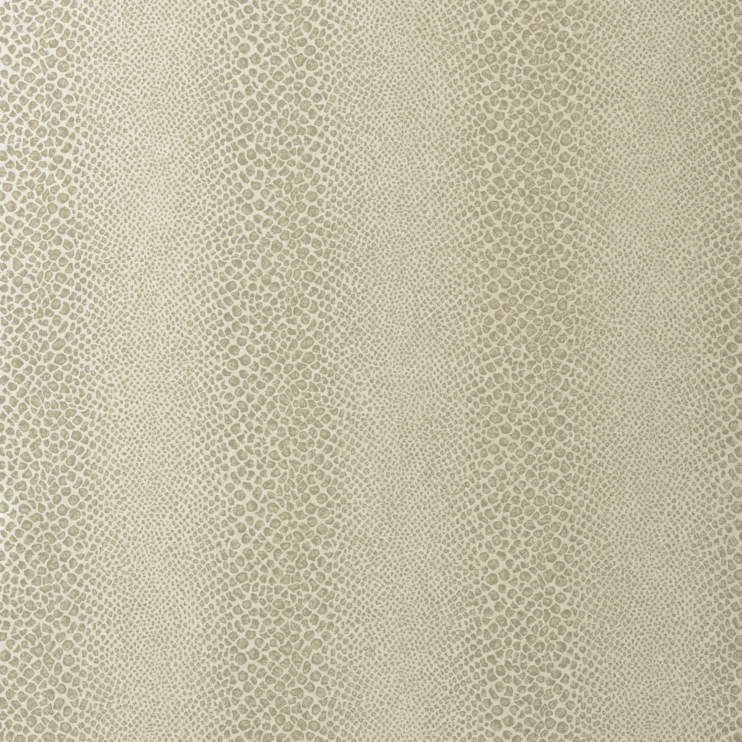 Mamba Wallpaper by Anna French – The ReBorn House