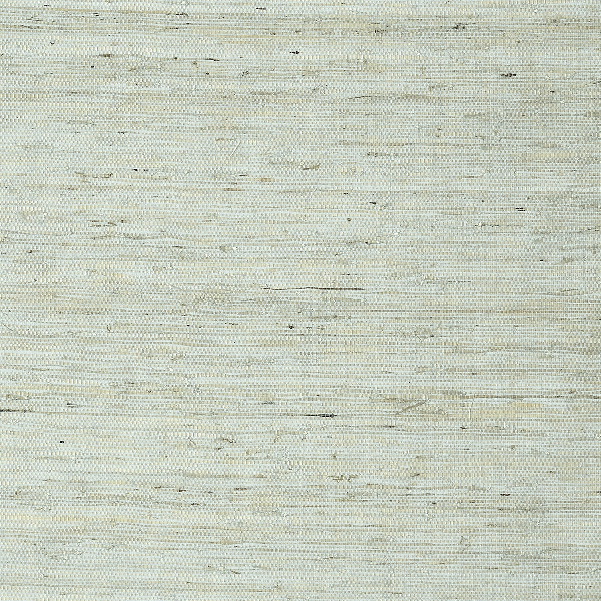 Maranta Arrowroot Wallpaper by Thibaut in Aqua (T85003)