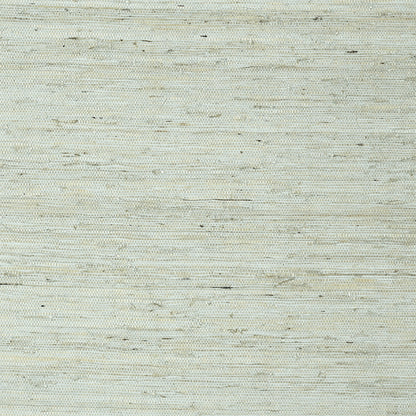 Maranta Arrowroot Wallpaper by Thibaut in Aqua (T85003)
