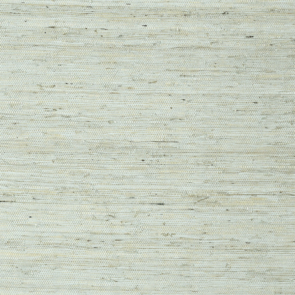 Maranta Arrowroot Wallpaper by Thibaut – The ReBorn House