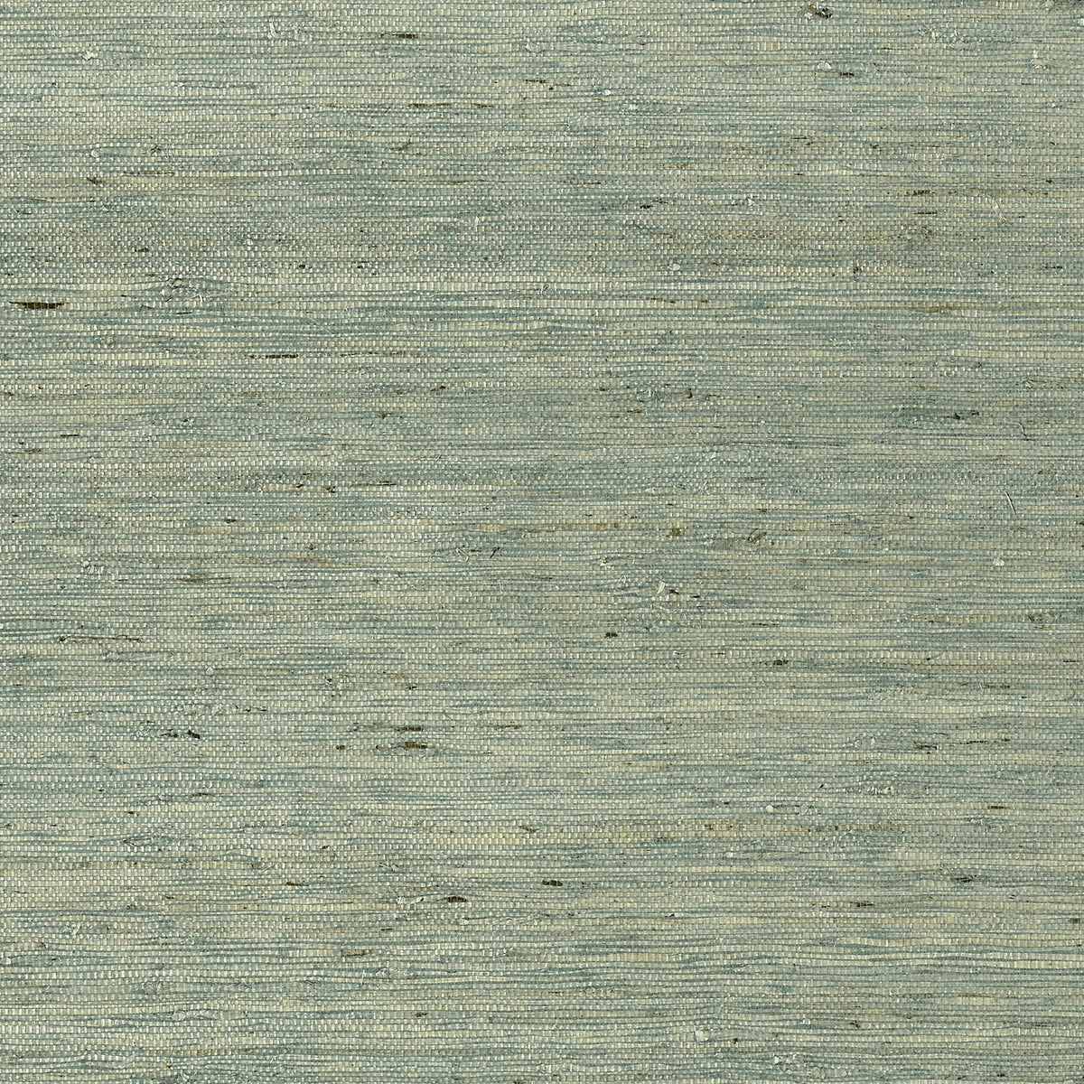 Maranta Arrowroot Wallpaper by Thibaut in Teal (T85004)
