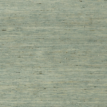 Maranta Arrowroot Wallpaper by Thibaut in Teal (T85004)