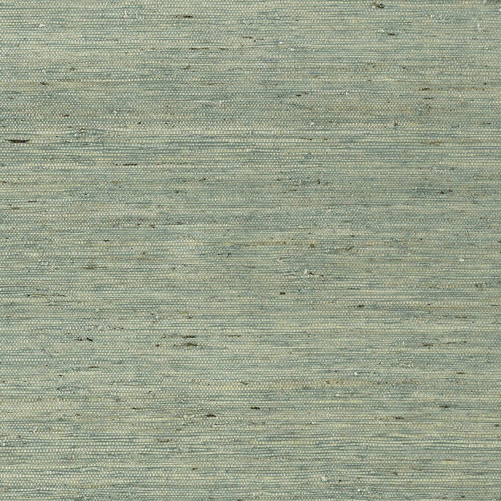 Maranta Arrowroot Wallpaper by Thibaut – The ReBorn House