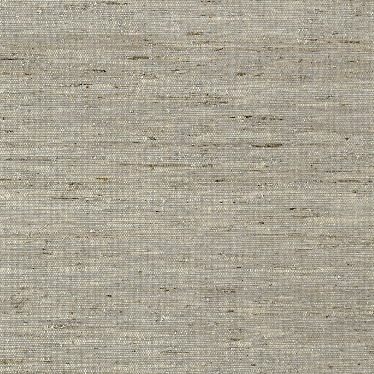 Maranta Arrowroot Wallpaper by Thibaut in Grey (T85005)