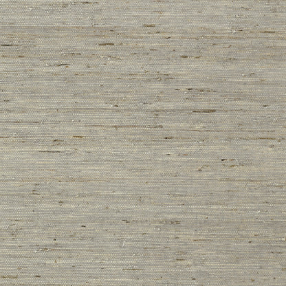 Maranta Arrowroot Wallpaper by Thibaut in Grey (T85005)
