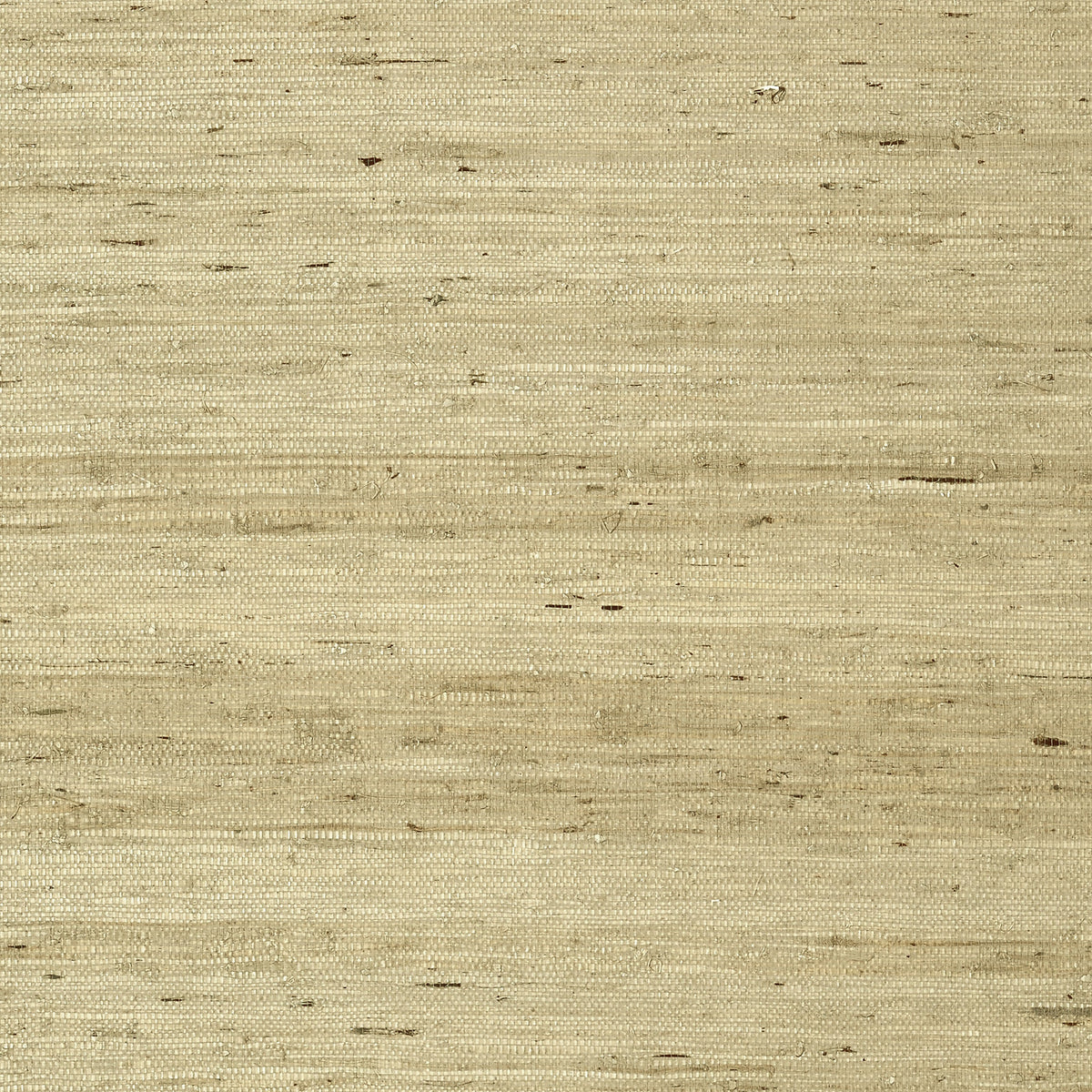 Maranta Arrowroot Wallpaper by Thibaut in Beige (T85006)