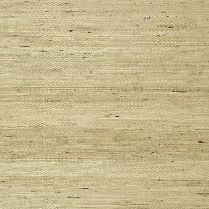 Maranta Arrowroot Wallpaper by Thibaut in Beige (T85006)