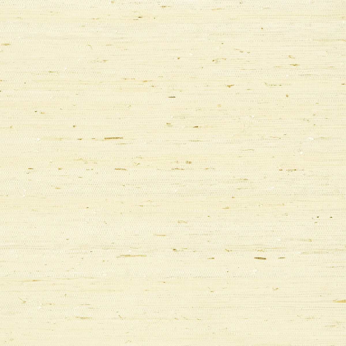 Maranta Arrowroot Wallpaper by Thibaut in Cream (T85008)
