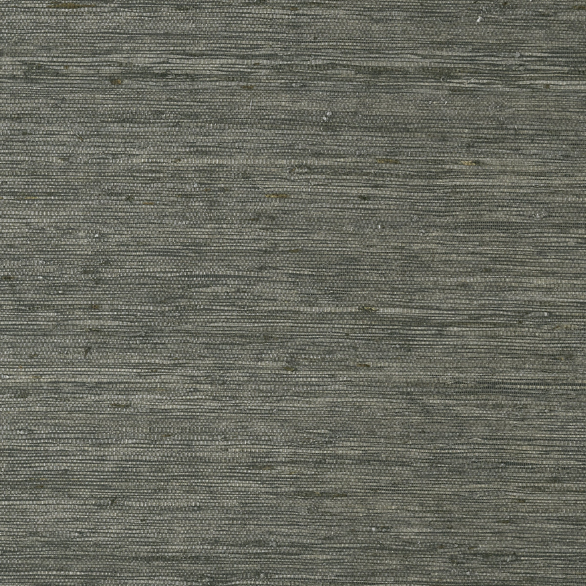Maranta Arrowroot Wallpaper by Thibaut in Black (T85009)