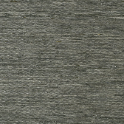 Maranta Arrowroot Wallpaper by Thibaut in Black (T85009)