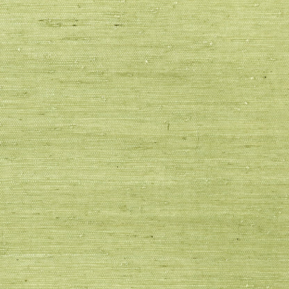 Maranta Arrowroot Wallpaper by Thibaut in Green (T85012)
