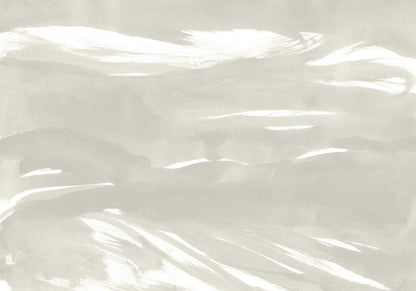 Marine Xray mural by Coordonné in Ice, flat pattern view