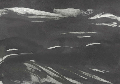 Marine Xray mural by Coordonné in Metallics Onyx, flat pattern view