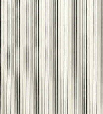 Maryland Fabric by Clarke & Clarke Charcoal/Natural