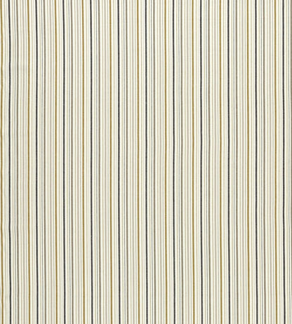 Maryland Fabric by Clarke & Clarke Ochre/Charcoal