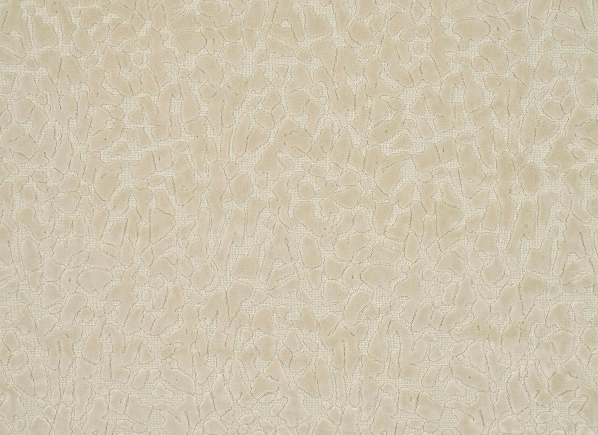 Massou Fabric by Pierre Frey in Massou (F3781001)