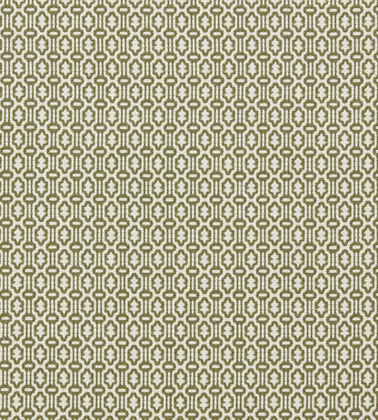 Matmi Fabric by Sanderson Cardamom